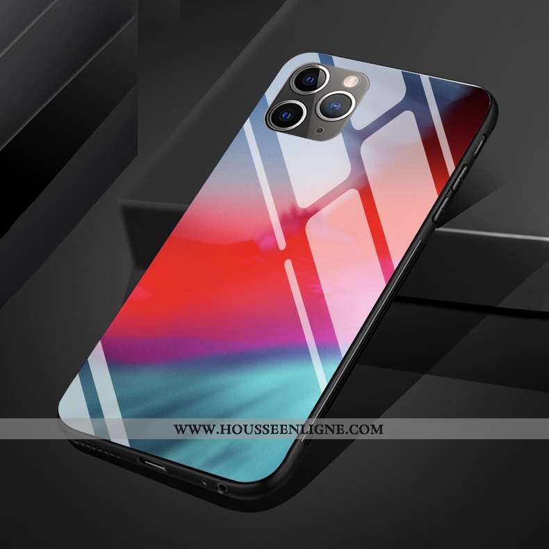 Coque iPhone 11 Pro Max Protection Verre Silicone Couleur Téléphone Portable Multicolore Art Coloré