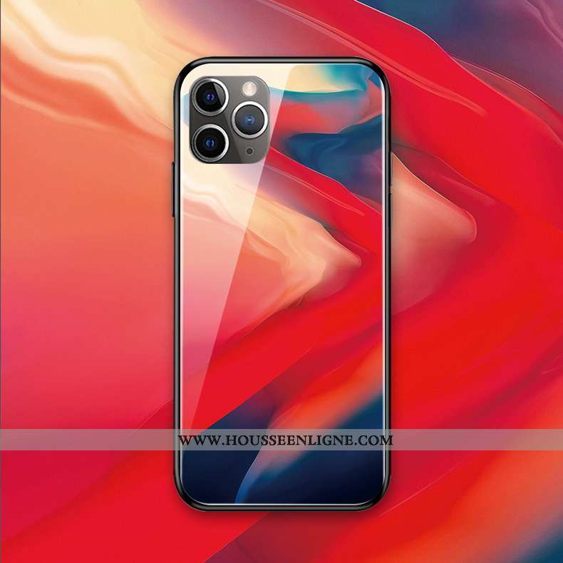 Coque iPhone 11 Pro Max Protection Verre Silicone Couleur Téléphone Portable Multicolore Art Coloré