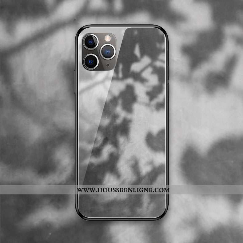 Coque iPhone 11 Pro Max Silicone Verre Vent Gris Clair Téléphone Portable
