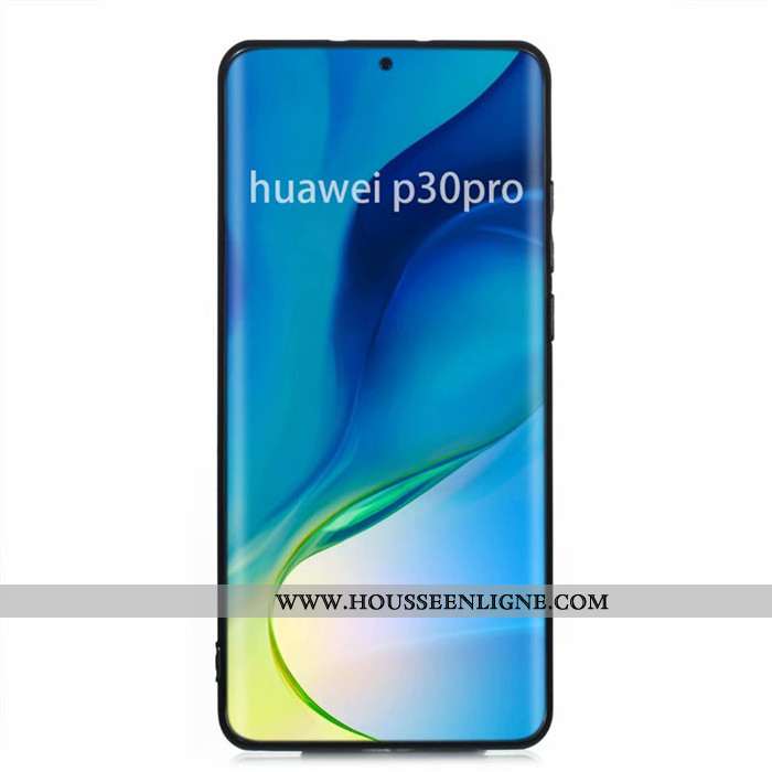 Housse Huawei P30 Pro Protection Cuir Incassable Téléphone Portable Coque Sac Carte Étui Gris