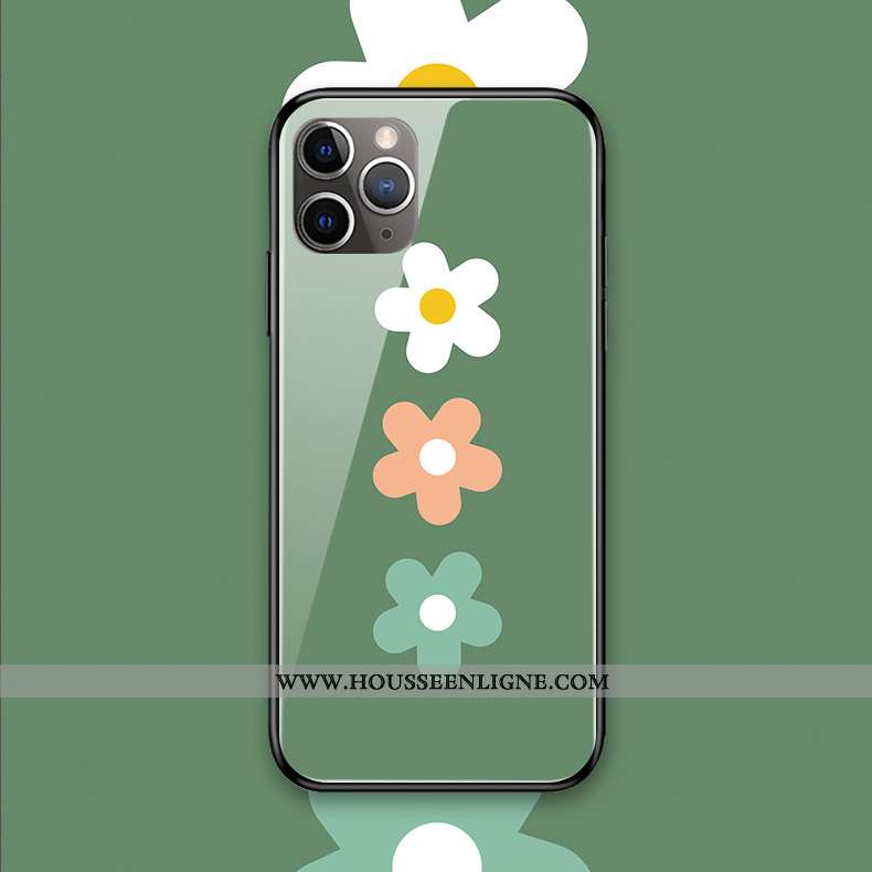 Housse iPhone 11 Pro Max Verre Silicone Coque Protection Vert Simple Vent Verte