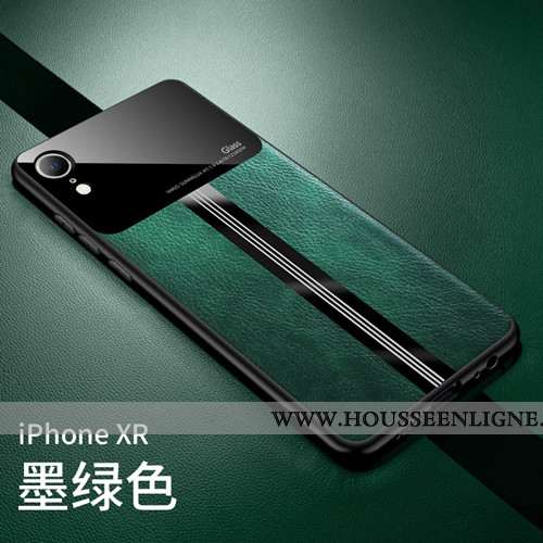 Housse iPhone Xr Légère Cuir Silicone Protection Téléphone Portable Modèle Fleurie Transparent Turqu