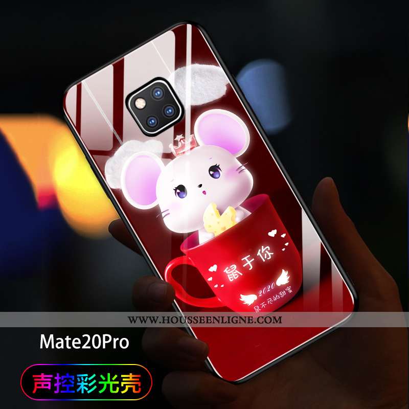 Étui Huawei Mate 20 Pro Tendance Verre Amoureux Téléphone Portable Net Rouge Coque Noir
