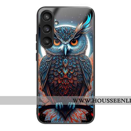 Coque Samsung Galaxy S25 5G Verre Trempé Hibou Coloré