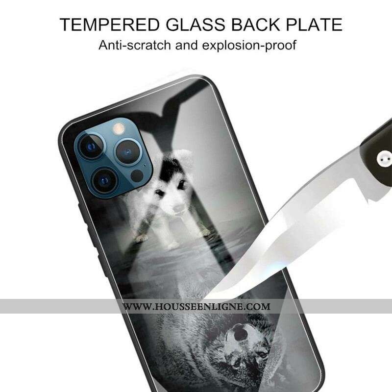 Coque iPhone 13 Pro Verre Trempé Rêve de Chiot