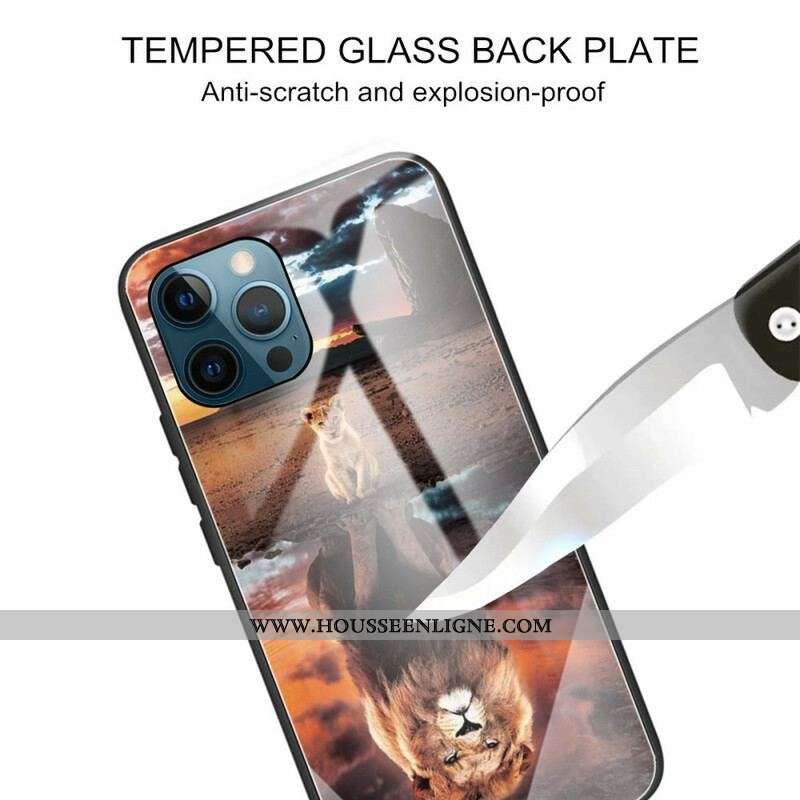 Coque iPhone 13 Pro Verre Trempé Rêve de Lionceau