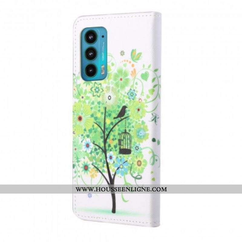Housse Motorola Edge 20 Arbre Vert