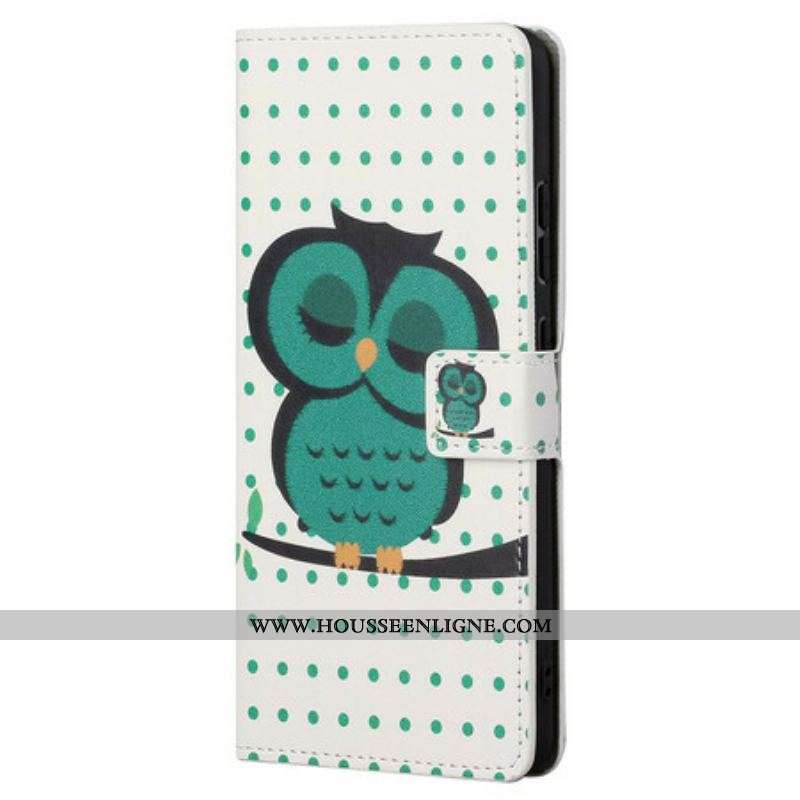 Housse OnePlus Nord CE 5G Hibou Endormi