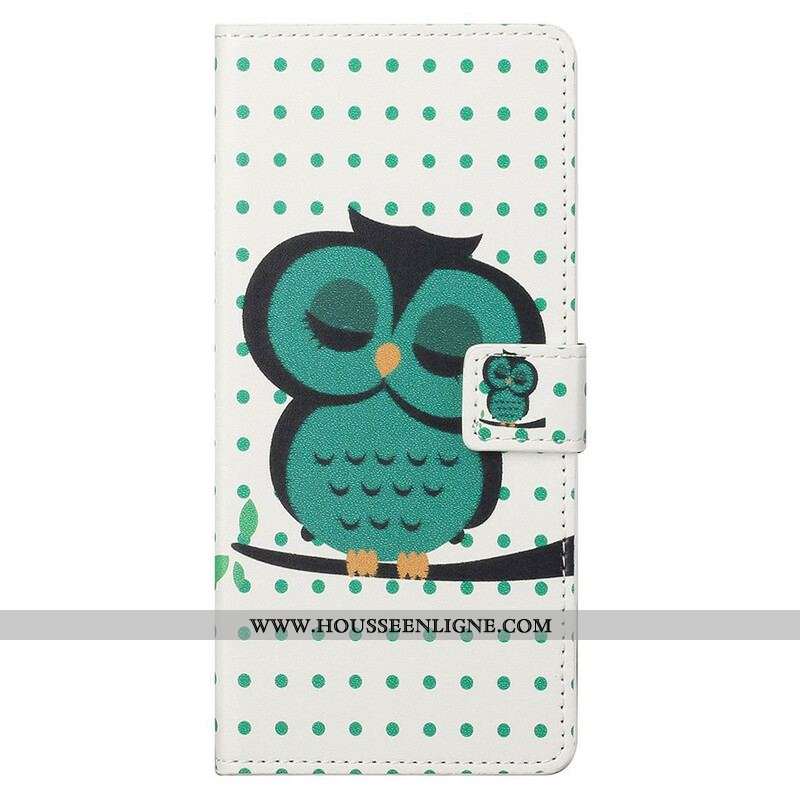 Housse OnePlus Nord CE 5G Hibou Endormi