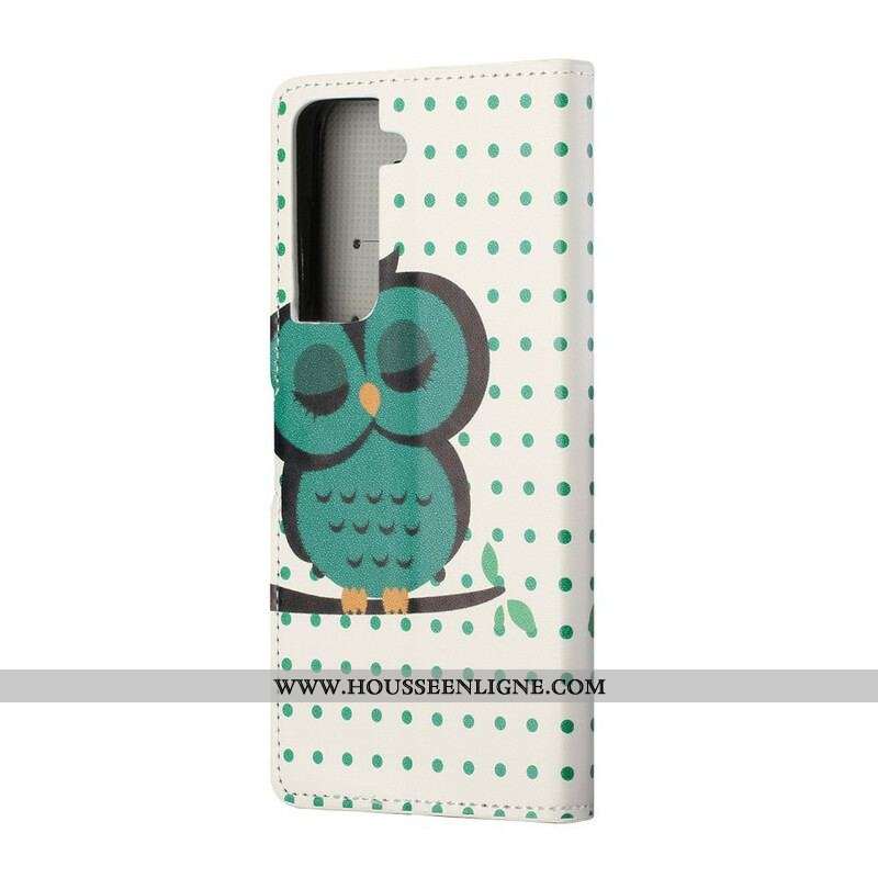 Housse Samsung Galaxy S21 5G Hibou Endormi