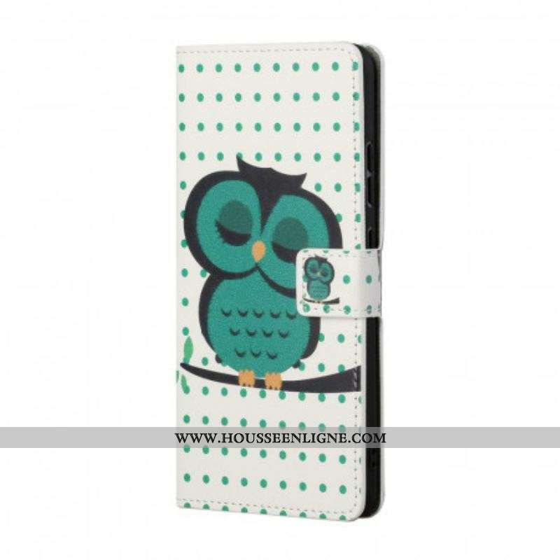 Housse Samsung Galaxy S22 Plus 5G Hibou Endormi