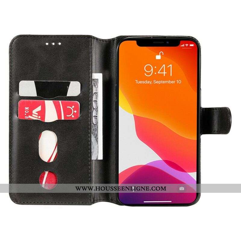 Housse iPhone 13 Pro Glacée