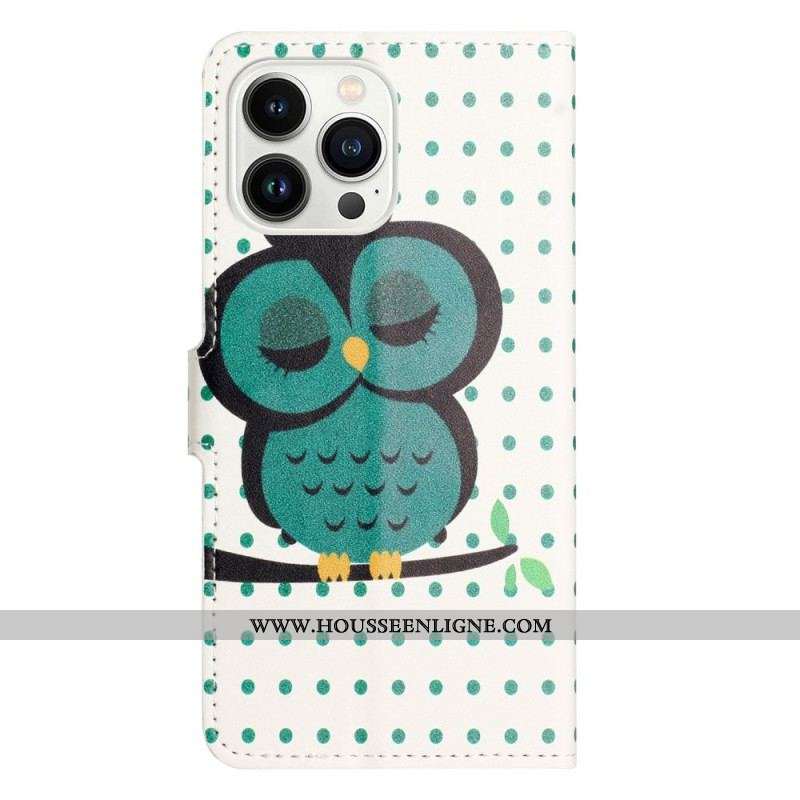 Housse iPhone 14 Pro Hibou Endormi