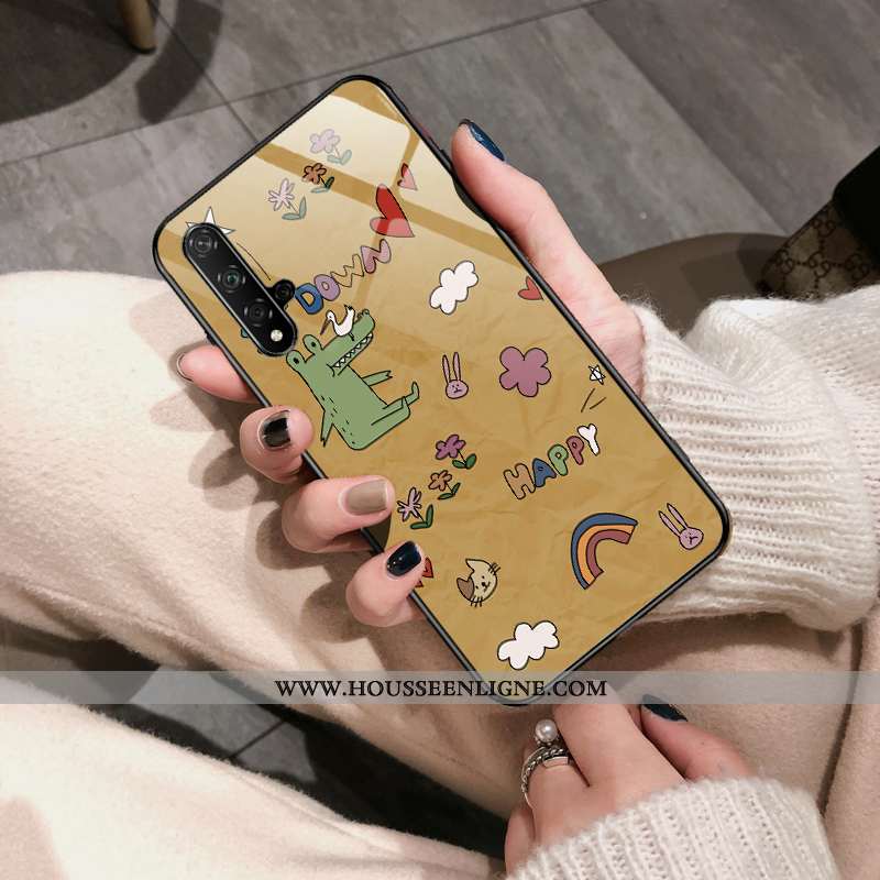 Coque Huawei Nova 5t Protection Verre Téléphone Portable Personnalité Simple Nouveau Vert Rose