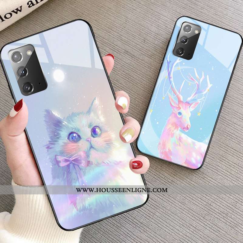 Coque Samsung Galaxy Note20 Dessin Animé Protection Verre Frais Rêver Modèle Bleu