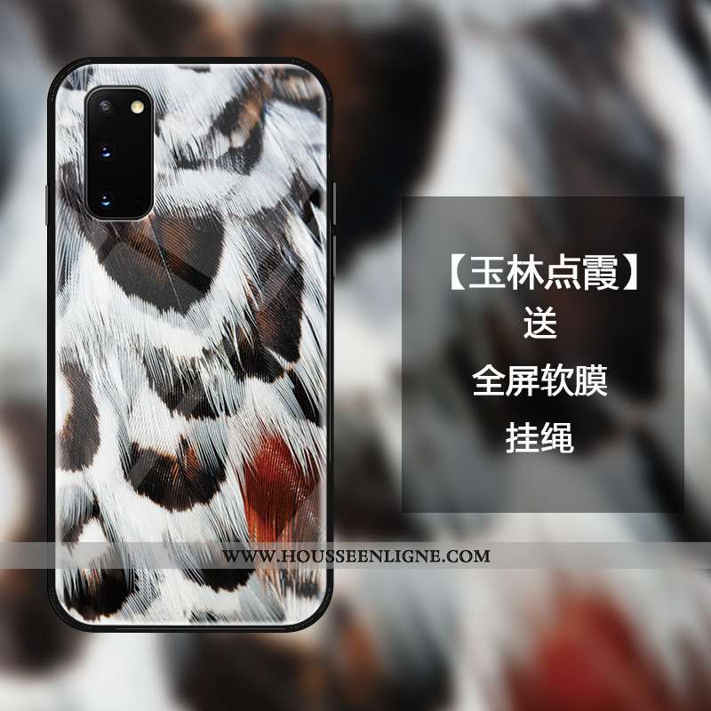 Coque Samsung Galaxy S20 Luxe Verre Luxe Plume Tout Compris Incassable Étui Gris