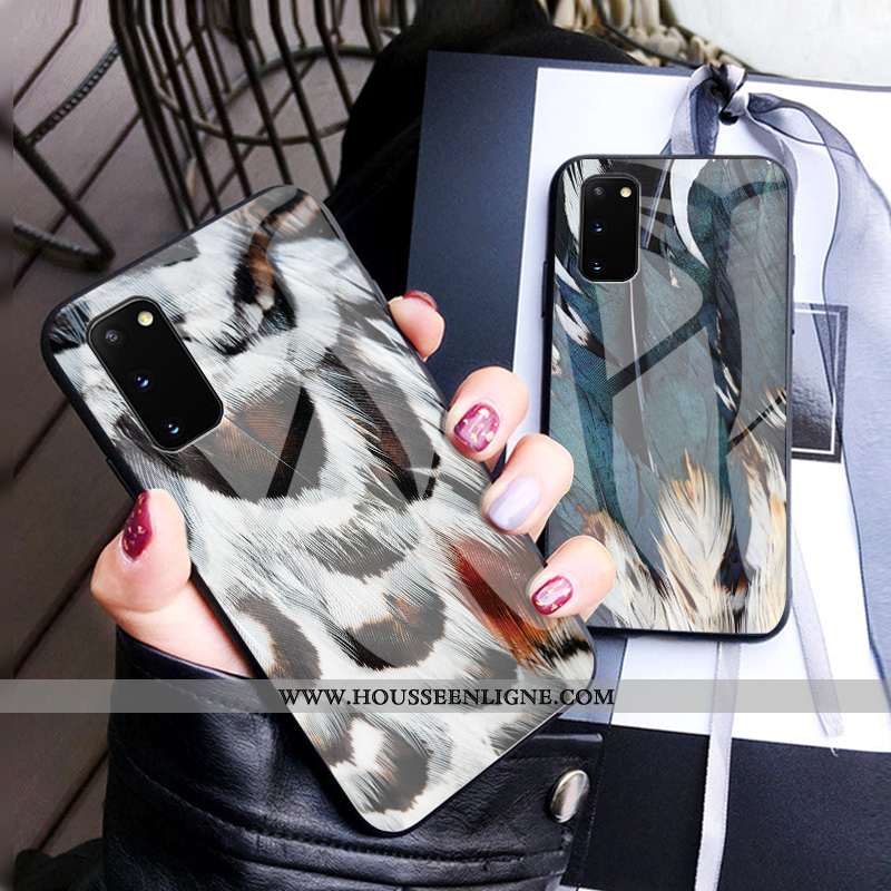 Coque Samsung Galaxy S20 Luxe Verre Luxe Plume Tout Compris Incassable Étui Gris