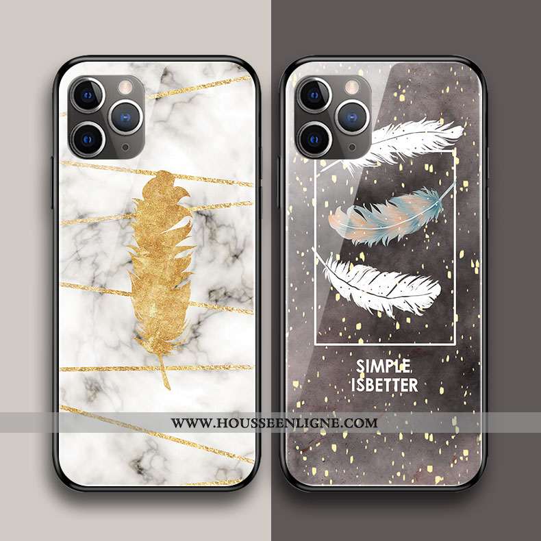 Coque iPhone 11 Pro Max Protection Verre Art Rose Simple Plume