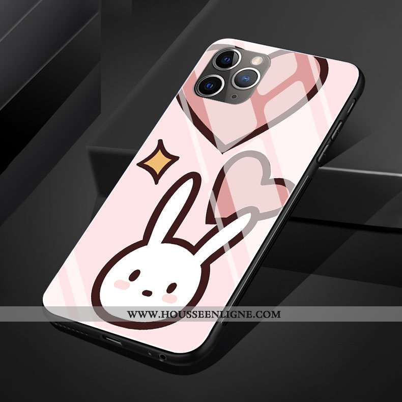 Coque iPhone 11 Pro Max Protection Verre Chat Téléphone Portable Silicone Rose Créatif