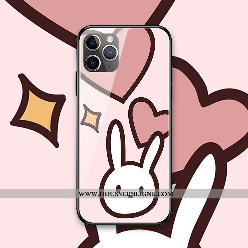 Coque iPhone 11 Pro Max Protection Verre Chat Téléphone Portable Silicone Rose Créatif