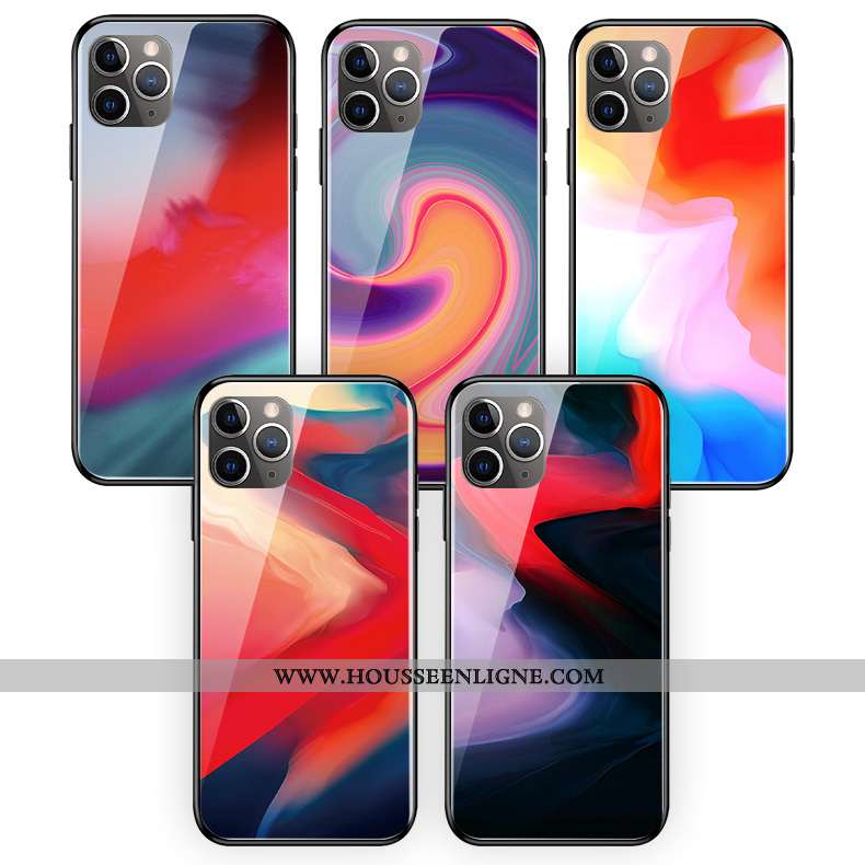 Coque iPhone 11 Pro Max Protection Verre Silicone Couleur Téléphone Portable Multicolore Art Coloré