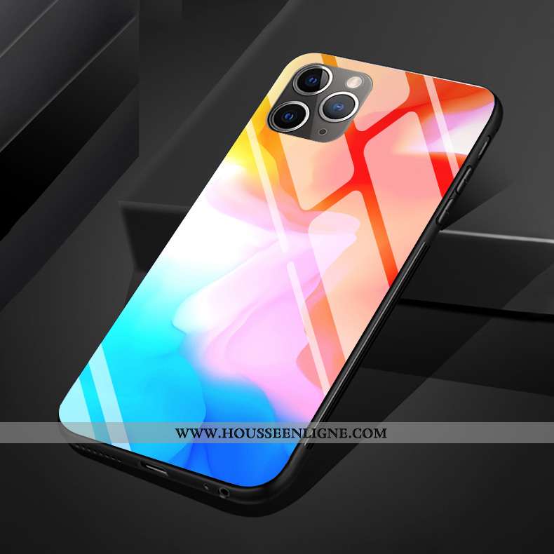 Coque iPhone 11 Pro Max Protection Verre Silicone Couleur Téléphone Portable Multicolore Art Coloré