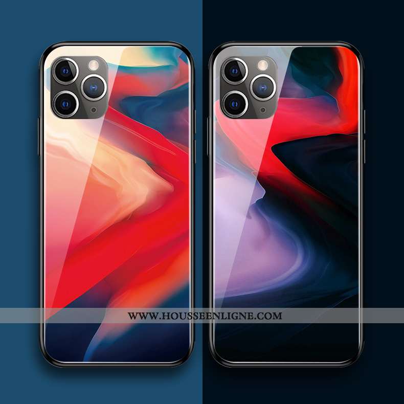 Coque iPhone 11 Pro Max Protection Verre Silicone Couleur Téléphone Portable Multicolore Art Coloré