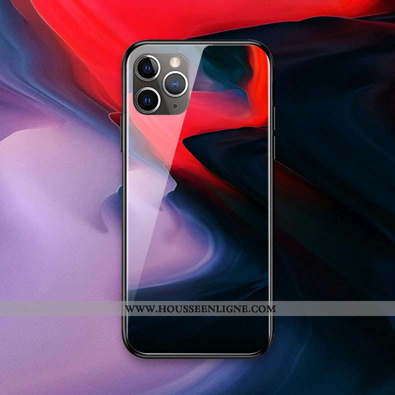 Coque iPhone 11 Pro Max Protection Verre Silicone Couleur Téléphone Portable Multicolore Art Coloré