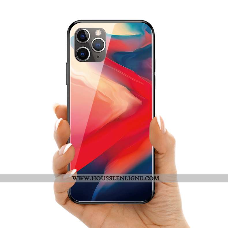 Coque iPhone 11 Pro Max Protection Verre Silicone Couleur Téléphone Portable Multicolore Art Coloré