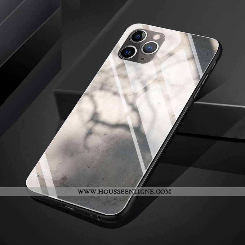 Coque iPhone 11 Pro Max Silicone Verre Vent Gris Clair Téléphone Portable