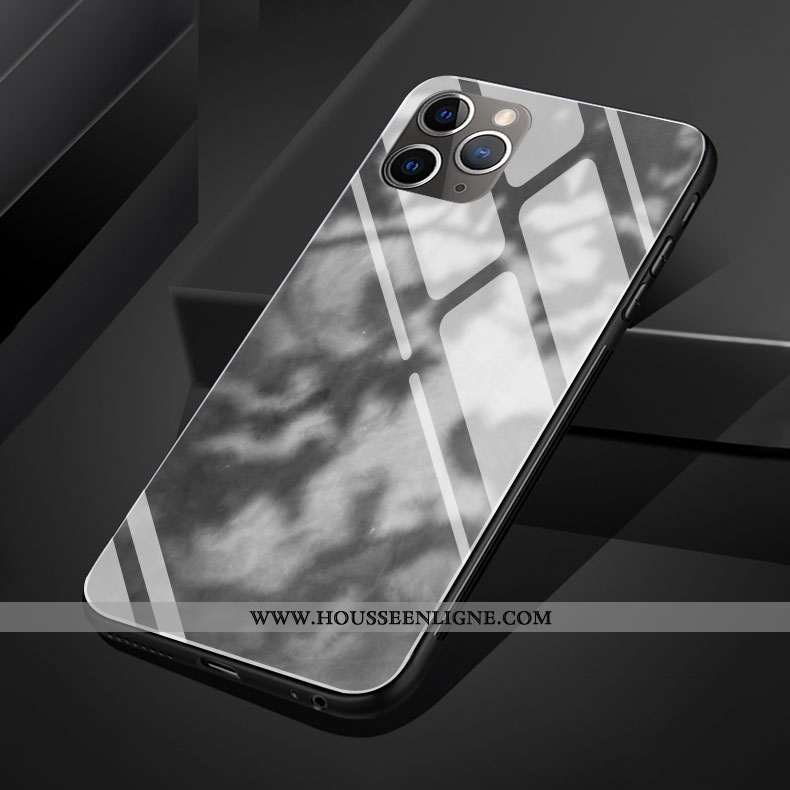 Coque iPhone 11 Pro Max Silicone Verre Vent Gris Clair Téléphone Portable