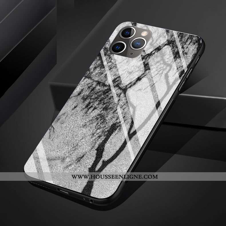 Coque iPhone 11 Pro Max Silicone Verre Vent Gris Clair Téléphone Portable