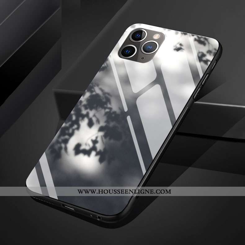 Coque iPhone 11 Pro Max Silicone Verre Vent Gris Clair Téléphone Portable