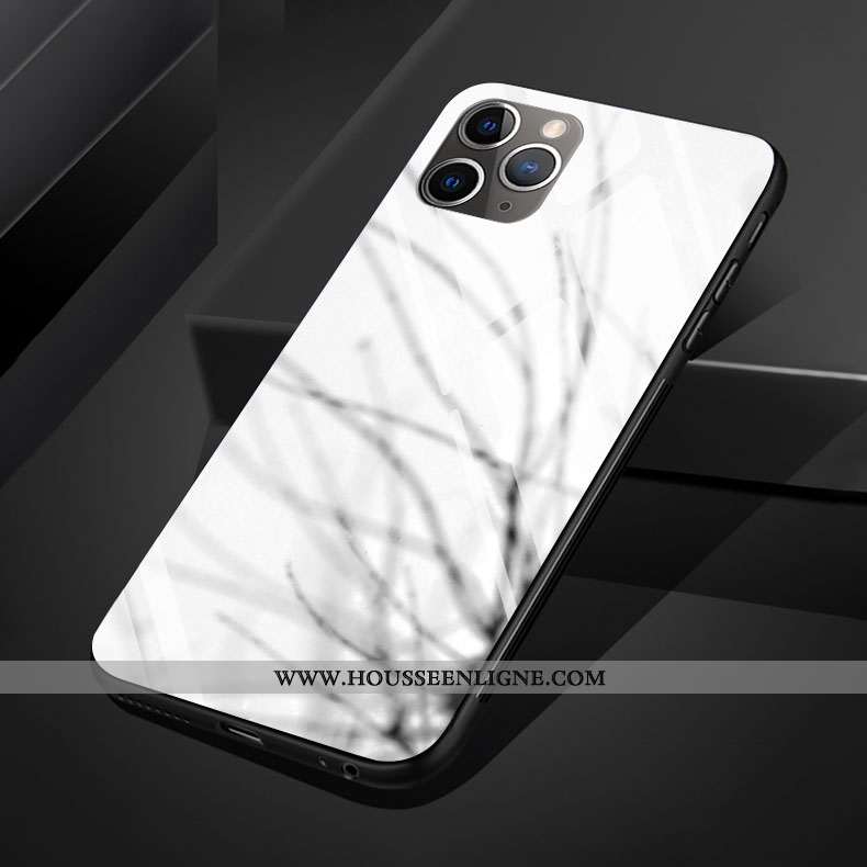 Coque iPhone 11 Pro Max Silicone Verre Vent Gris Clair Téléphone Portable