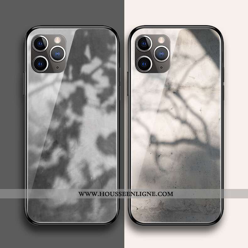 Coque iPhone 11 Pro Max Silicone Verre Vent Gris Clair Téléphone Portable
