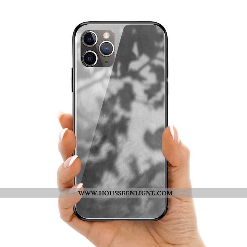 Coque iPhone 11 Pro Max Silicone Verre Vent Gris Clair Téléphone Portable