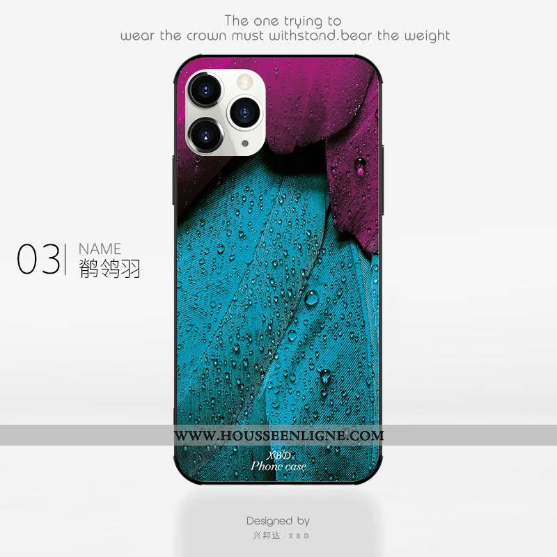 Coque iPhone 11 Pro Verre Tendance Clair Étui Net Rouge Silicone Rose