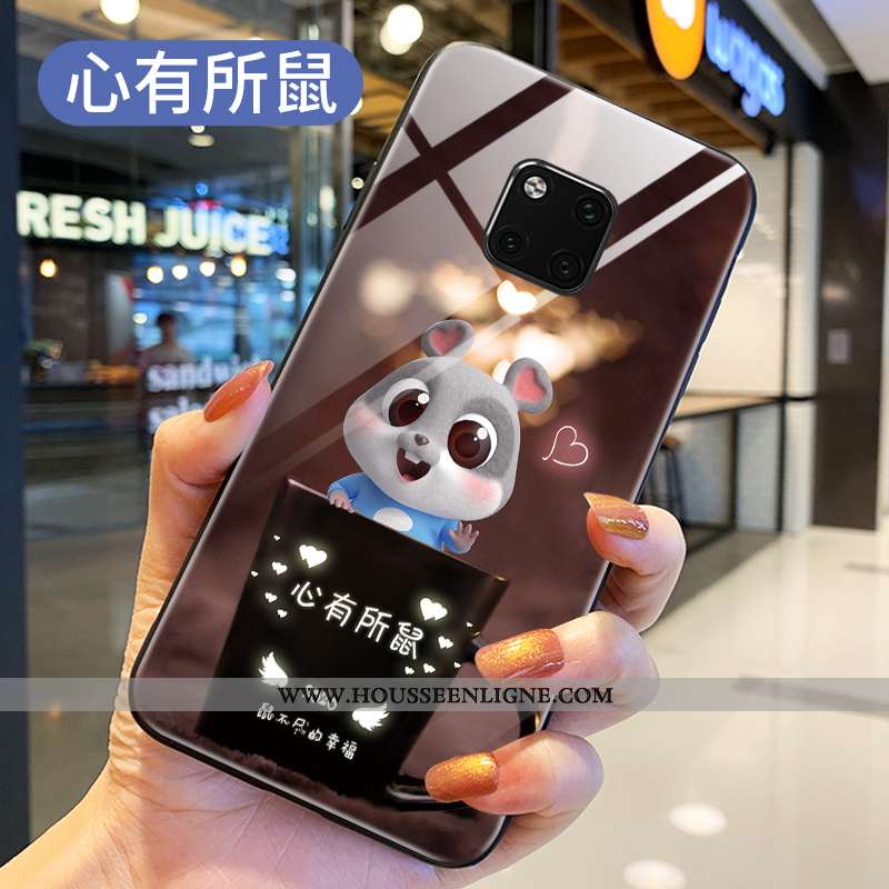 Housse Huawei Mate 20 Pro Silicone Verre Téléphone Portable Tout Compris Coque Petit Dessin Animé No