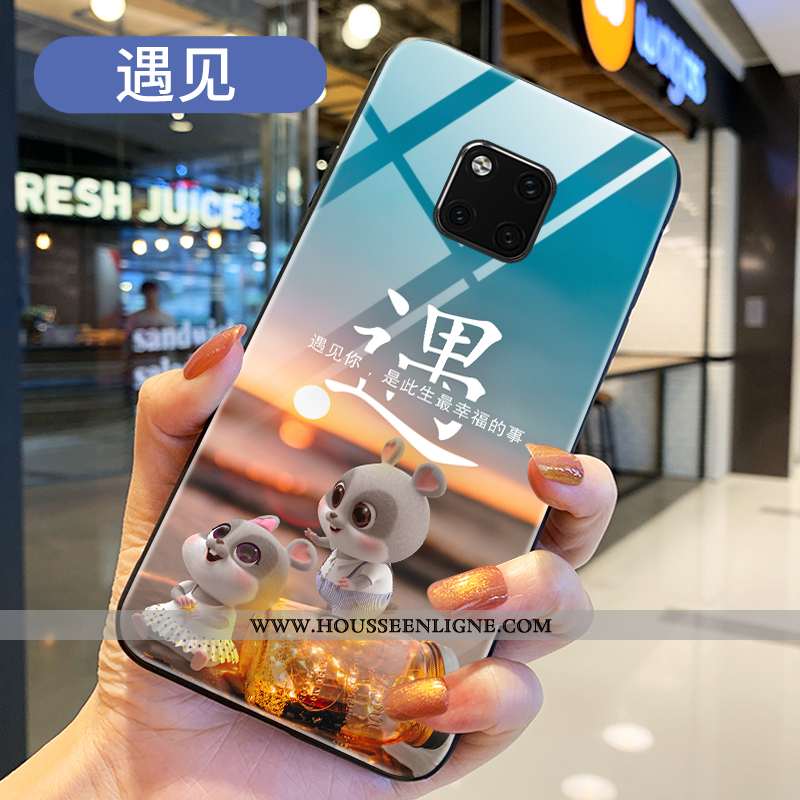 Housse Huawei Mate 20 Pro Silicone Verre Téléphone Portable Tout Compris Coque Petit Dessin Animé No