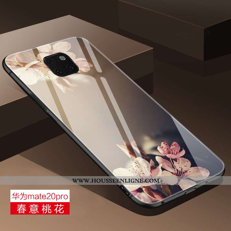 Housse Huawei Mate 20 Pro Verre Personnalité Protection Coque Légère Bleu Net Rouge
