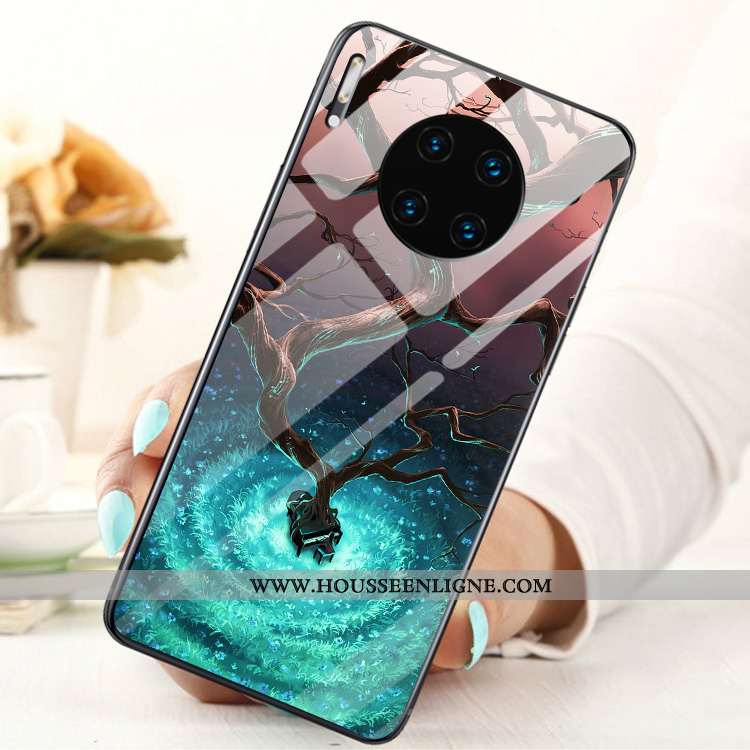 Housse Huawei Mate 30 Verre Personnalité Téléphone Portable Incassable Protection Tempérer Noir