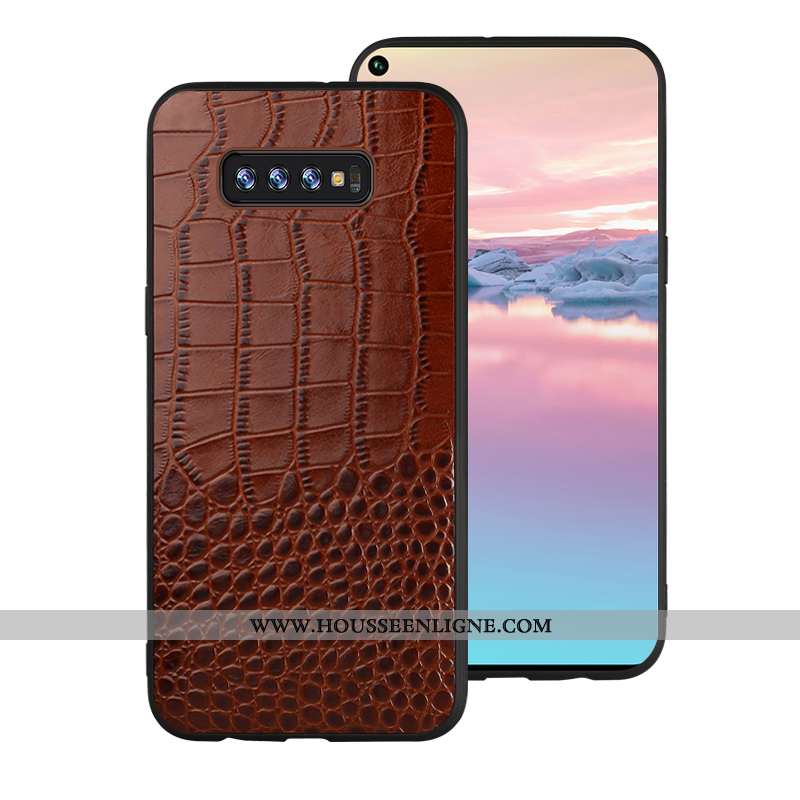 Housse Samsung Galaxy S10 Cuir Modèle Fleurie Coque Protection Incassable Marron Personnalité