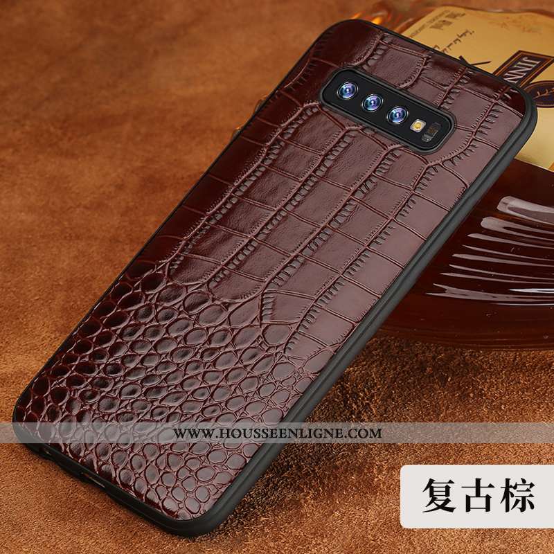 Housse Samsung Galaxy S10 Cuir Modèle Fleurie Coque Protection Incassable Marron Personnalité