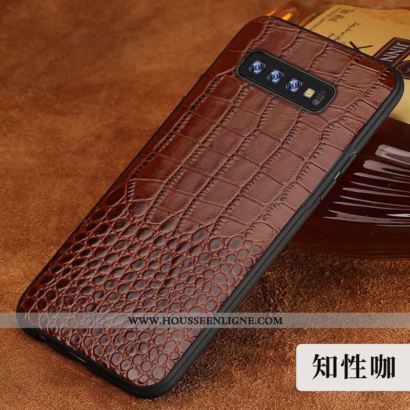 Housse Samsung Galaxy S10 Cuir Modèle Fleurie Coque Protection Incassable Marron Personnalité