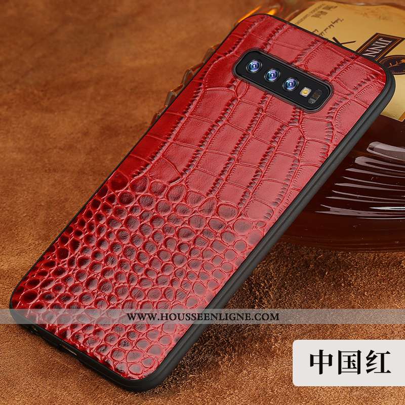 Housse Samsung Galaxy S10 Cuir Modèle Fleurie Coque Protection Incassable Marron Personnalité