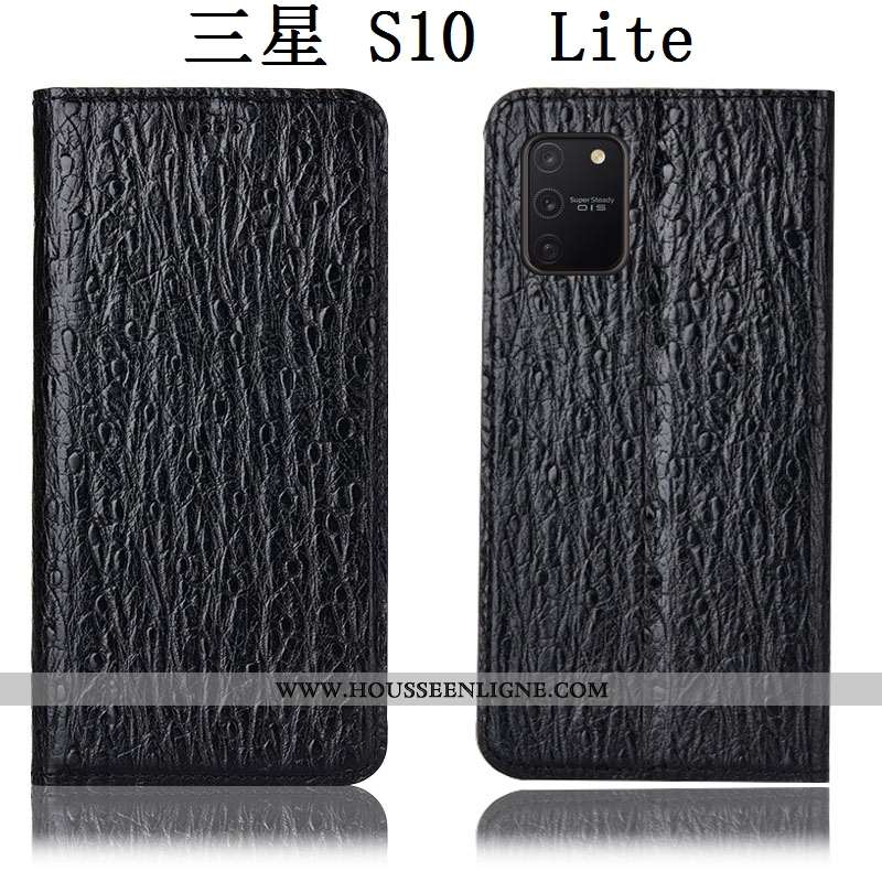 Housse Samsung Galaxy S10 Lite Protection Cuir Véritable Téléphone Portable Étui Tout Compris Coque 
