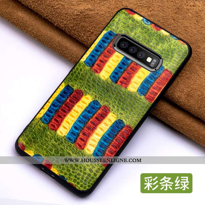 Housse Samsung Galaxy S10 Légère Cuir Tout Compris Simple Tendance Étui Coque Verte