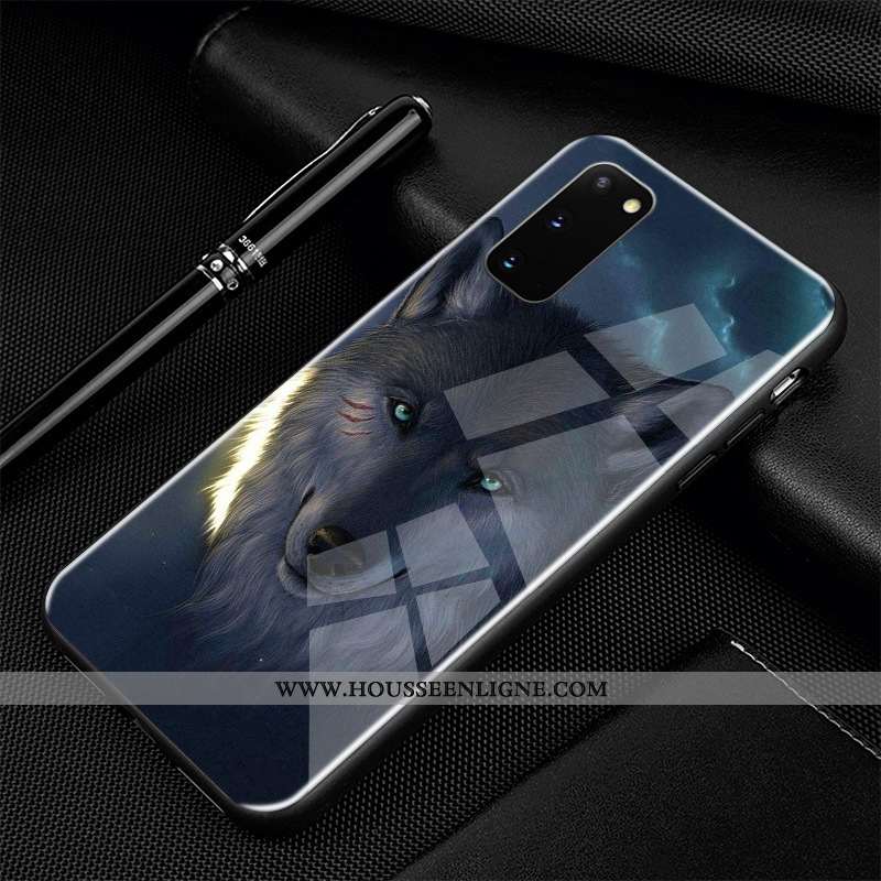Housse Samsung Galaxy S20 Protection Verre Téléphone Portable Dessin Animé Incassable Étui Coque Ble