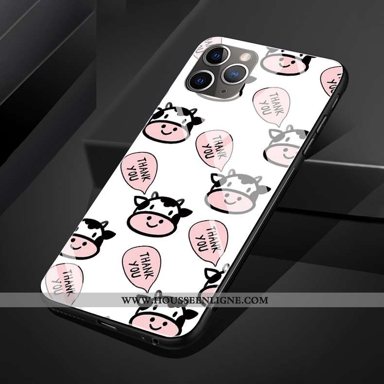 Housse iPhone 11 Pro Max Original Silicone Coque Verre Charmant Noir Téléphone Portable