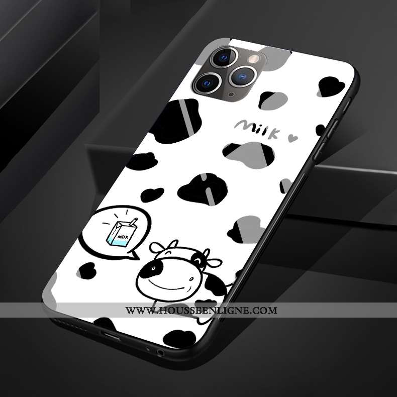 Housse iPhone 11 Pro Max Original Silicone Coque Verre Charmant Noir Téléphone Portable